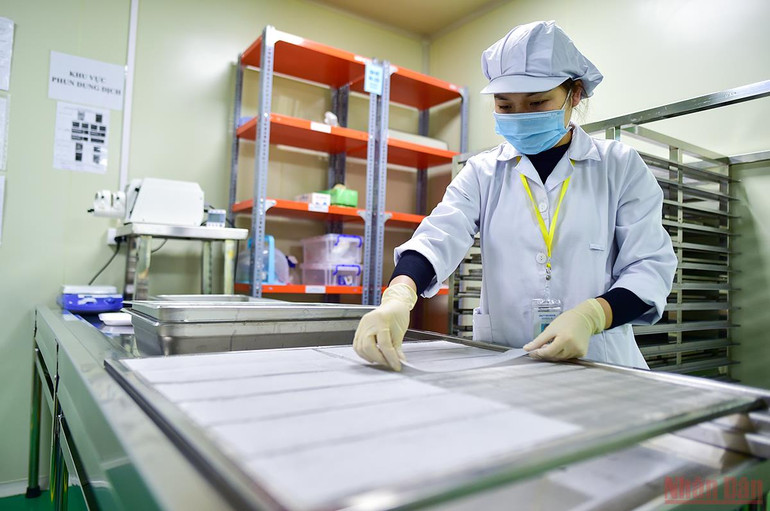 Cận cảnh quy trình sản xuất kit Test nhanh kháng nguyên SARS-CoV-2 “Made in Viet Nam” -0