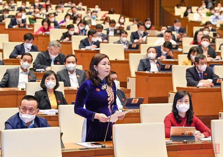 Kiên trì chính sách khoan sức dân, nuôi dưỡng nguồn thu -0