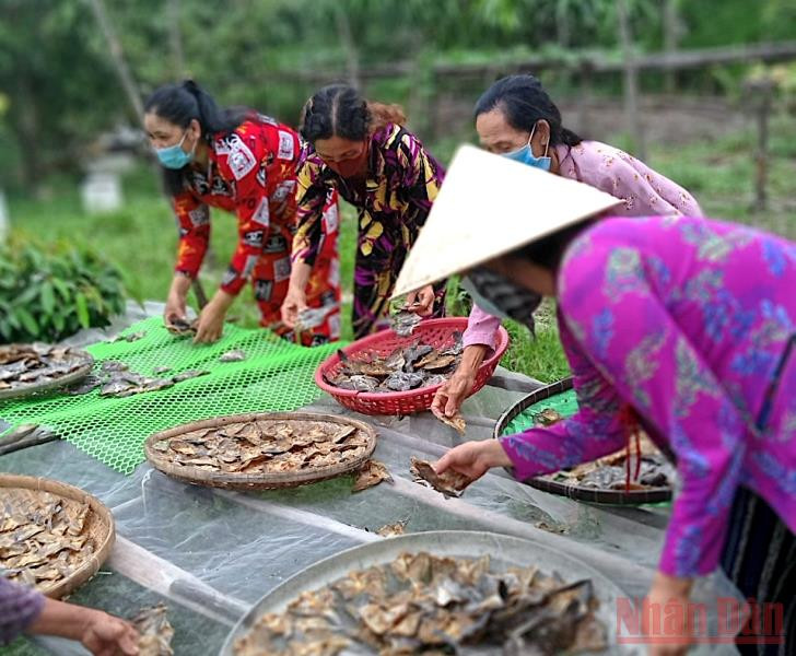 Phụ nữ Cà Mau làm khô gửi cứu trợ đồng bào ngoài tỉnh gặp khó khăn do ảnh hưởng bởi dịch Covid-19. Phụ nữ Cà Mau “đảm việc nhà, giỏi việc nước” -0