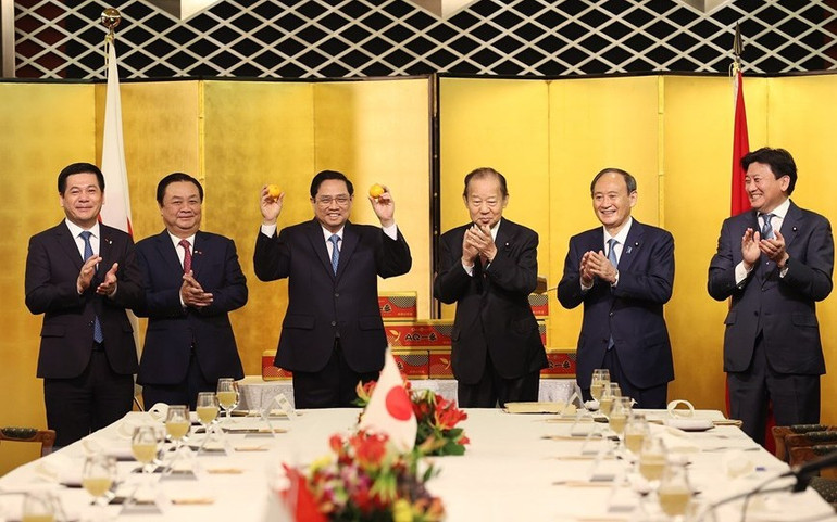 Tiếp tục đóng góp tích cực, hiệu quả, tăng cường quan hệ Việt Nam-Nhật Bản -0