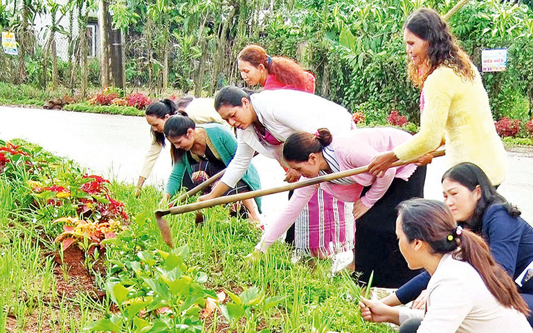 Bông hoa rừng ở Nausri -0