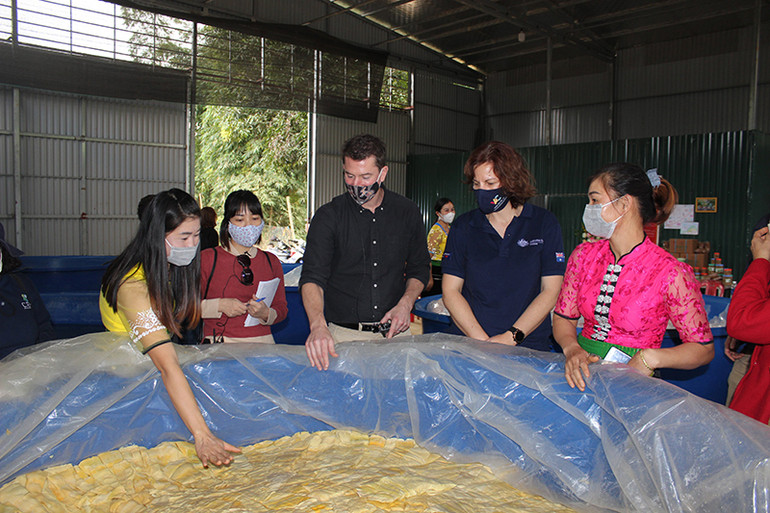 Đoàn công tác Đại sứ quán Australia tại Việt Nam khảo sát dự án sản xuất măng tại xã Xuân Nha. Australia hỗ trợ các tỉnh Tây Bắc phát triển kinh tế -0