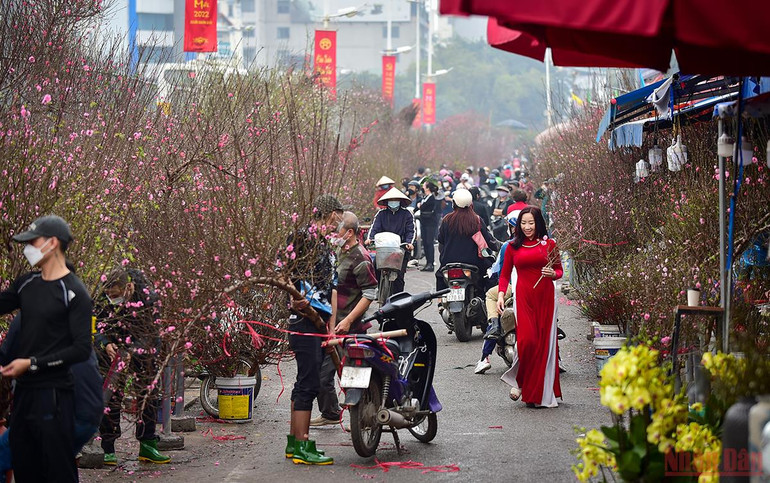 Hà Nội “thay áo mới” rực rỡ đón Xuân Nhâm Dần 2022 -0