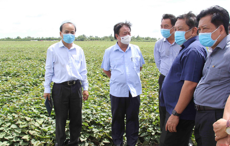 Kỳ 3: Thay đổi tư duy từ sản xuất nông nghiệp sang kinh tế nông nghiệp -0