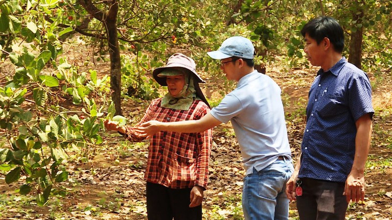 Thủ phủ điều gặp khó -0