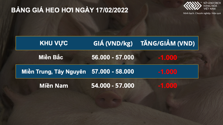 Giá thức ăn chăn nuôi tăng mạnh, giá heo hơi nội địa giảm nhẹ từ 1.000-2.000 đồng/kg -0