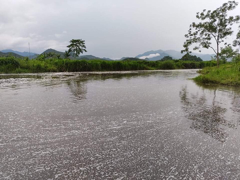 Suối Cái ô nhiễm đến bao giờ? -0