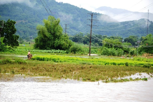 Mưa lớn gây thiệt hại ở Lào Cai -0