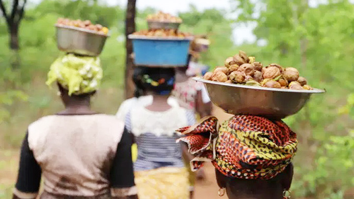 Vàng của phụ nữ Bờ Biển Ngà -0