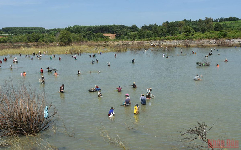 Người dân trúng “lộc trời” sau khi thủy điện ngưng xả tràn -0