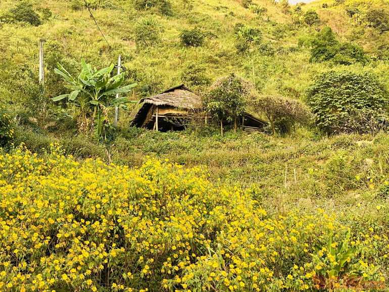 Sin Suối Hồ - Ngàn mặt trời rực rỡ -1