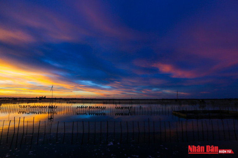 Hoàng hôn tuyệt đẹp trên phá Tam Giang -0