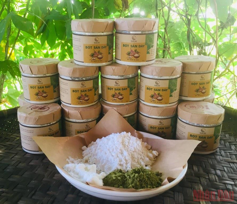 Chị Hương đã mày mò nghiên cứu, chế biến kết hợp sắn dây với các loại dược liệu tốt cho sức khỏe. Bài 4: Người đi tìm bình an trong màu xanh của rừng -0