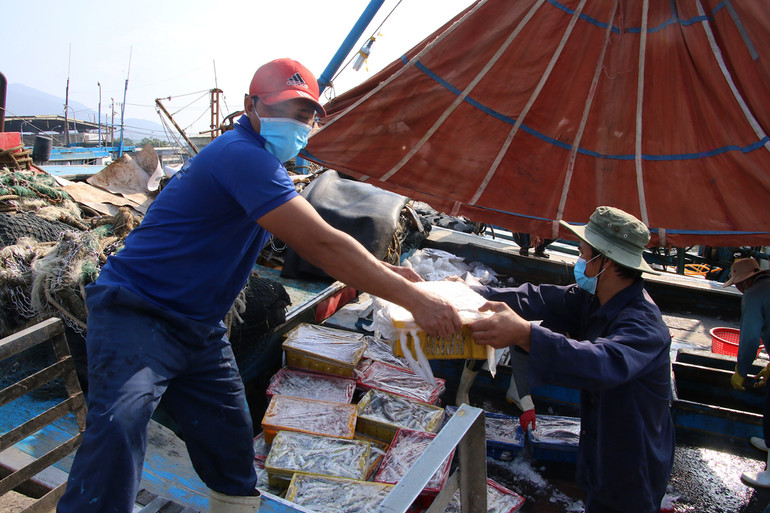 Lộc biển cuối năm của ngư dân miền trung -0