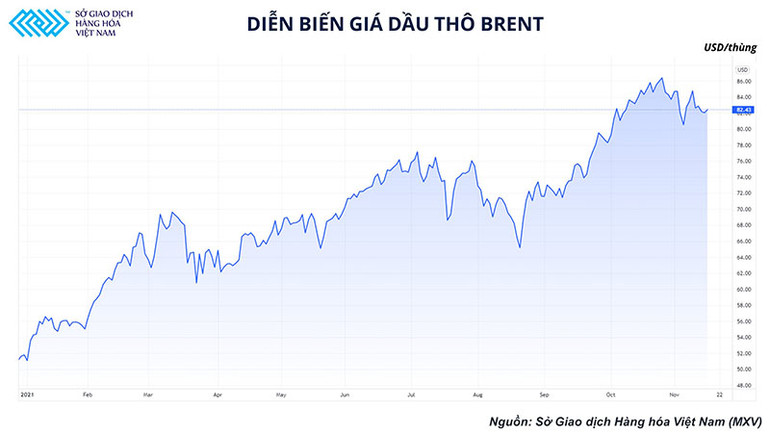 Thị trường dầu tìm hướng đi mới giữa kỳ vọng của các cơ quan năng lượng lớn và rủi ro gia tăng -0