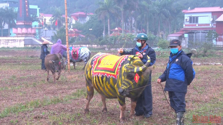 Các họa sĩ tham gia vẽ trang trí trâu tại Lễ hội Tịch điền Đọi Sơn. Hội thi vẽ trang trí trâu Lễ hội Tịch điền Đọi Sơn -0