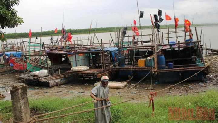 Thanh Hóa ứng phó bão số 8 -0