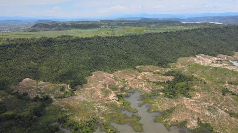 Ngang nhiên phá rừng phòng hộ để trồng bạch đàn tại Gia Lai -0