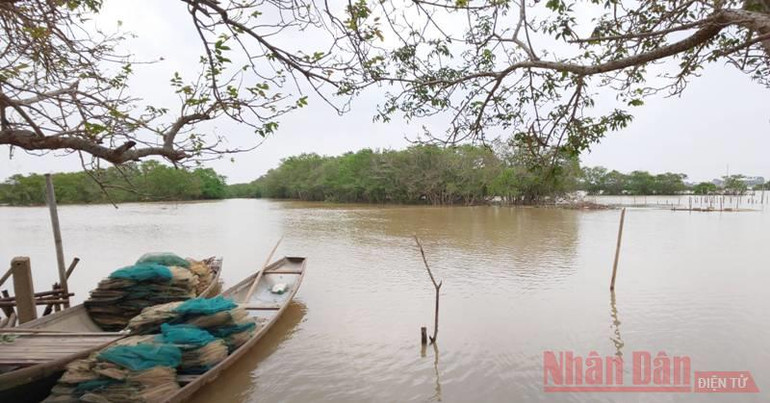 Bài 3: Hơn ba mươi năm giữ “tường chắn sóng” cho làng -0