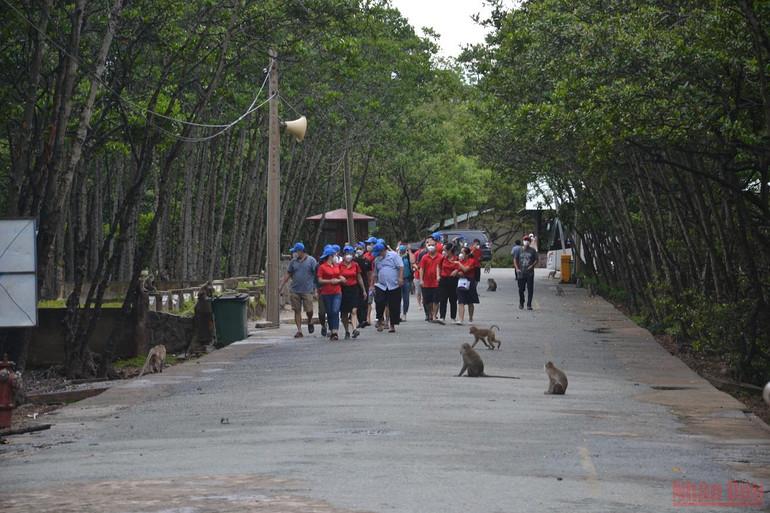 Một ngày đáng nhớ của lực lượng tuyến đầu tại “vùng xanh” Cần Giờ -0