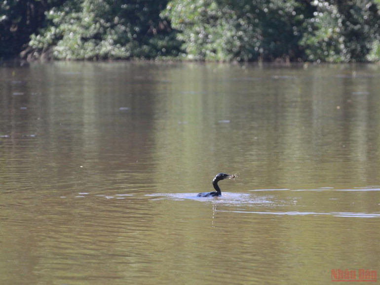 Một ngày đáng nhớ của lực lượng tuyến đầu tại “vùng xanh” Cần Giờ -0