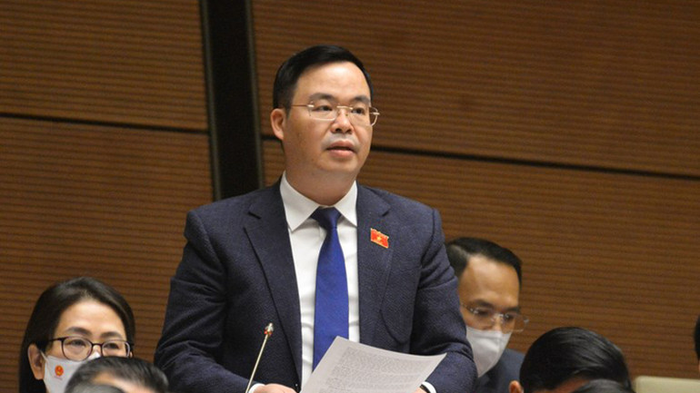 Đại biểu Quốc hội đánh giá cao sự chỉ đạo, điều hành của Chính phủ trong phòng chống dịch -0