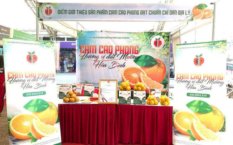 Cao Phong giữ vững thương hiệu cam trước cơn lốc khủng hoảng giá ảnh 2 Cao Phong giữ vũng thương hiệu cam trước cơn lốc khủng hoảng giá -0