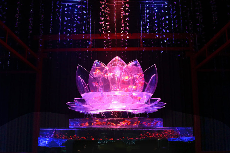 Huyền bí sắc màu Art Aquarium ở thủ đô Tokyo -5