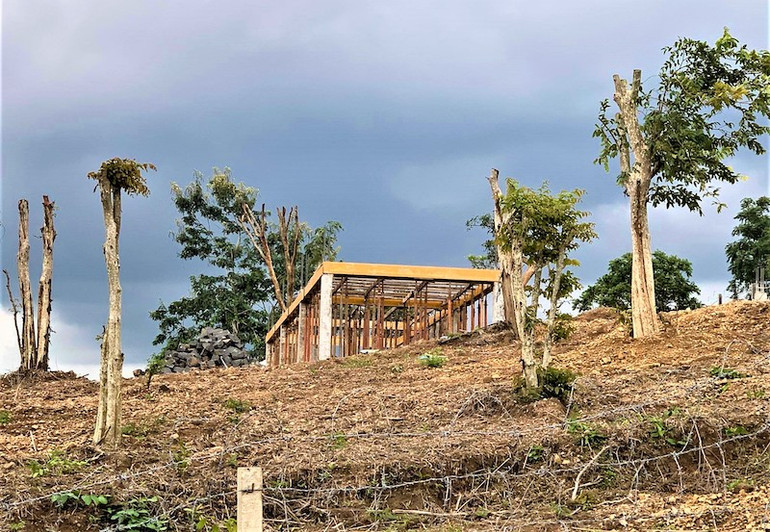 Ngang nhiên xây dựng trái phép trong khu quy hoạch đất rừng cảnh quan ở TP Buôn Ma Thuột -0