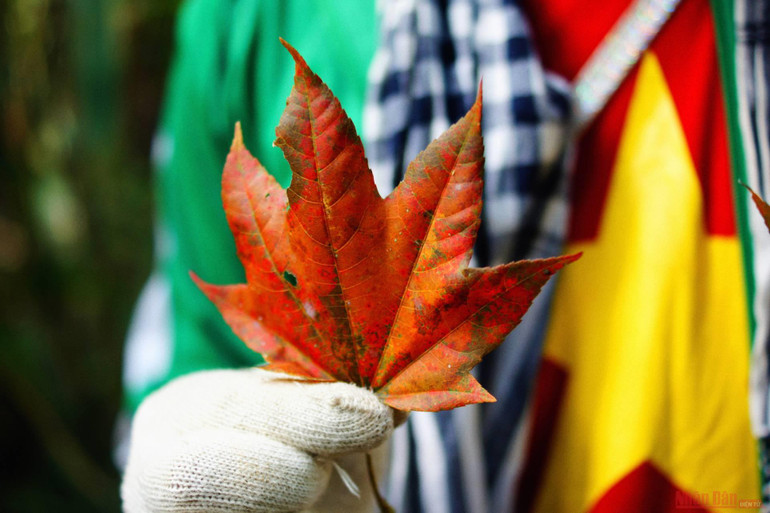 Theo dấu chân đoàn quân Tây Tiến, chinh phục đỉnh Pha Luông mùa lá phong -1