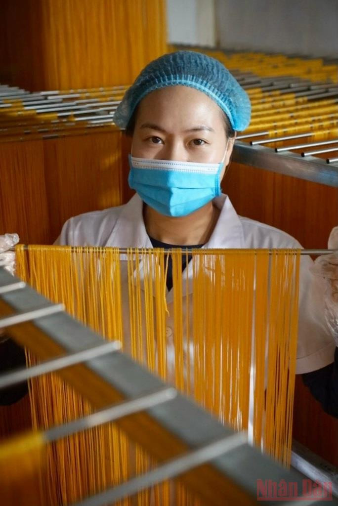 Để có được sợi mì ngô hôm nay, chị em Hồng đã mất hơn 5 tấn ngô thuần chủng và 365 ngày thử nghiệm. Bài ca của Đất -0