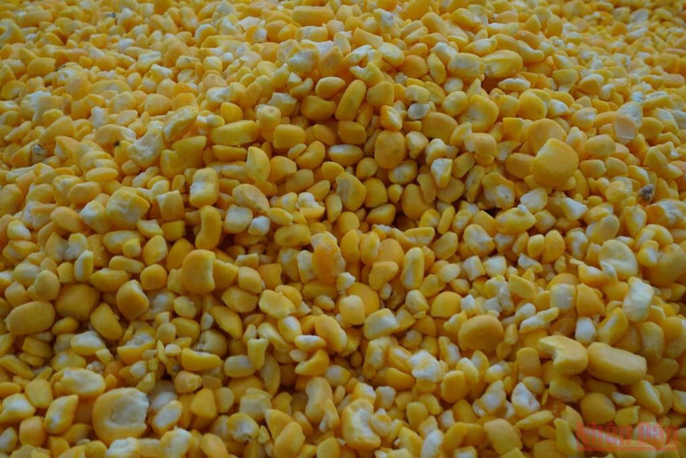 Ngô sau khi được tách bỏ vỏ lụa, thêm 10 lần vo đãi và xả nước. Bài ca của Đất -0