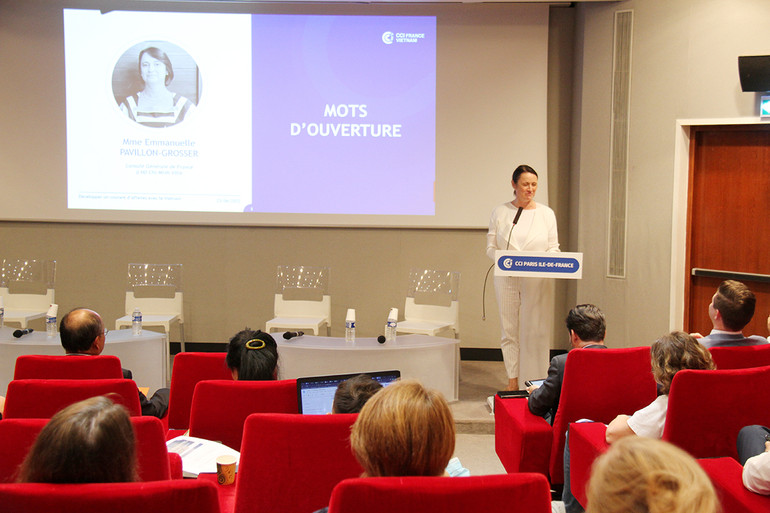 Thúc đẩy hợp tác thương mại và đầu tư Việt Nam - Pháp -0