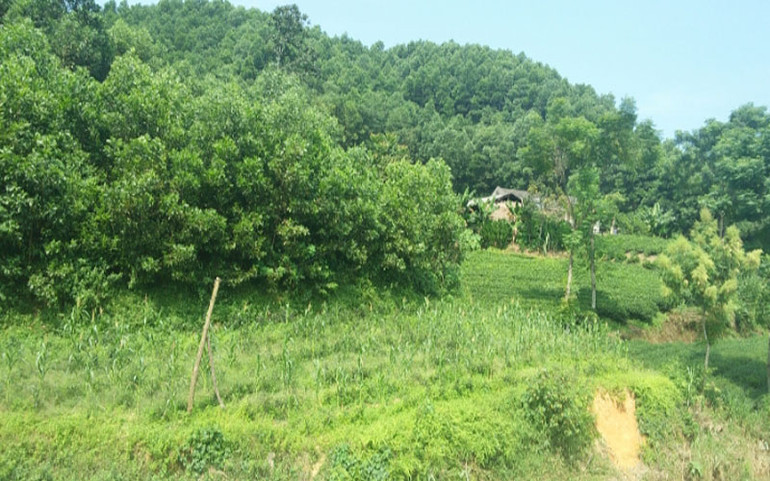 Thái Nguyên khắc phục bất cập quy hoạch rừng Thần Sa-Phượng Hoàng -0