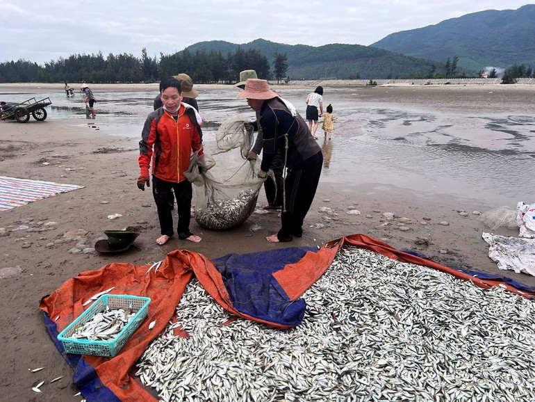 Ngư dân đi lùi “kéo” mặt trời lên -0