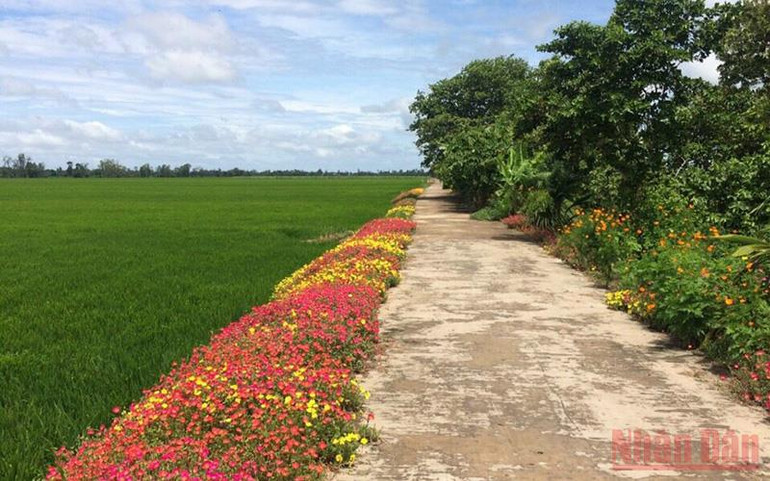 Một tuyến đường nội đồng ở xã Mỹ Đông. Khát vọng xây dựng nông thôn mới nâng cao ở Tháp Mười -0