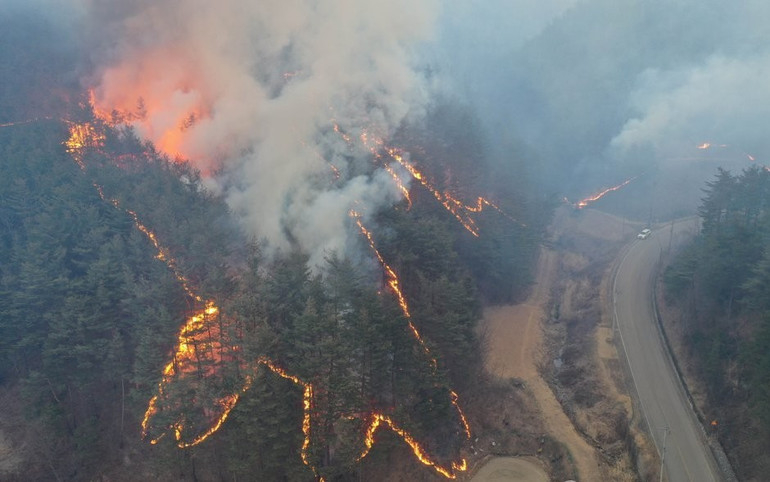 Cháy rừng ở thành phố Samcheok, tỉnh Gangwon, Hàn Quốc, ngày 5/3/2022. (Ảnh: Yonhap) Cháy rừng lan rộng, Hàn Quốc ban bố tình trạng thảm họa -0