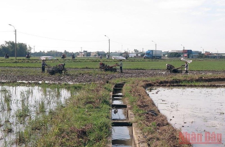 Phú Yên vào vụ Đông Xuân -0