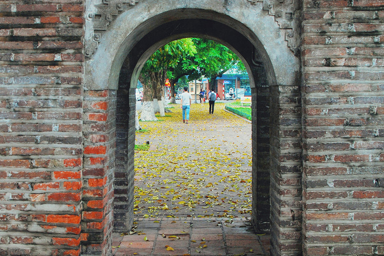 Hà Nội vàng rực mùa cây trút lá ảnh 5