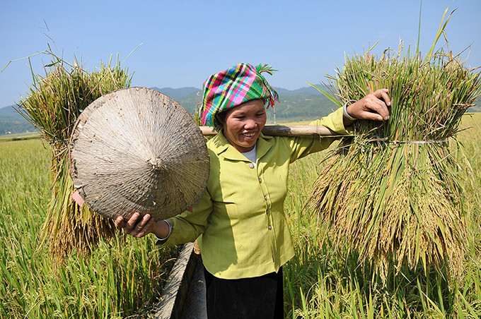 Giao lưu trực tuyến về phát triển bảo hiểm xã hội tự nguyện trong dịch Covid-19 ảnh 17