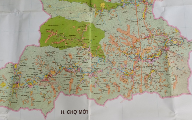 Có hay không việc Công ty Lâm nghiệp Bắc Kạn phá rừng phòng hộ? -0