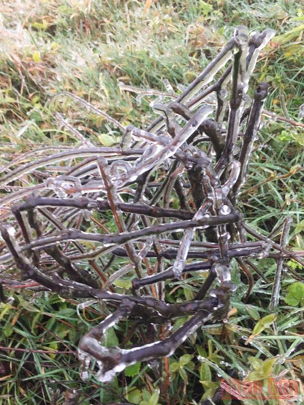 Mẫu Sơn xuất hiện băng tuyết, nhiệt độ âm 0,4 độ C -1