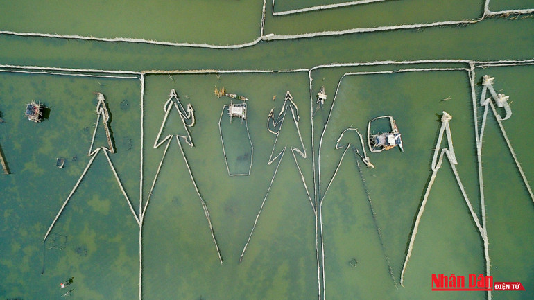 Hoàng hôn tuyệt đẹp trên phá Tam Giang -0