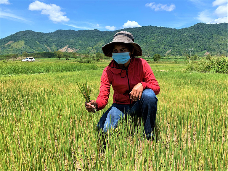 M’Đrắk nỗ lực chống hạn giữa mùa mưa -0