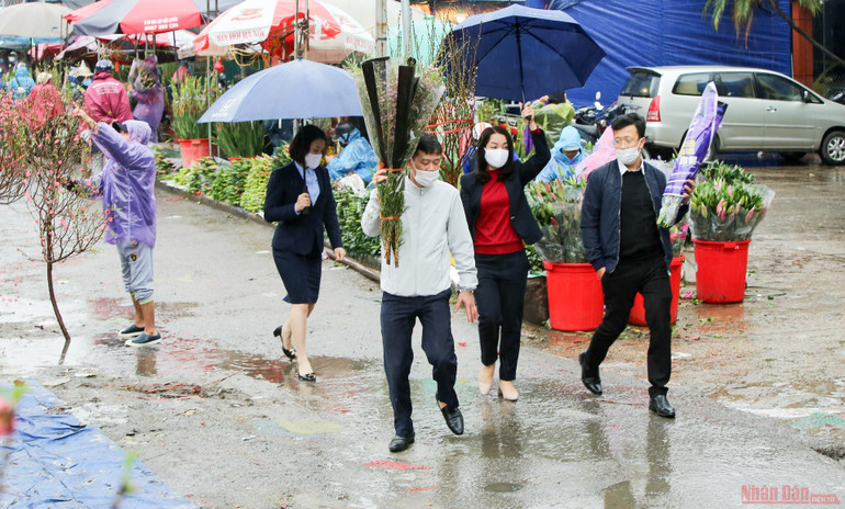 28 tháng Chạp: Hà Nội mưa rét, người bán đào, quất chán nản chở cây về vườn -1