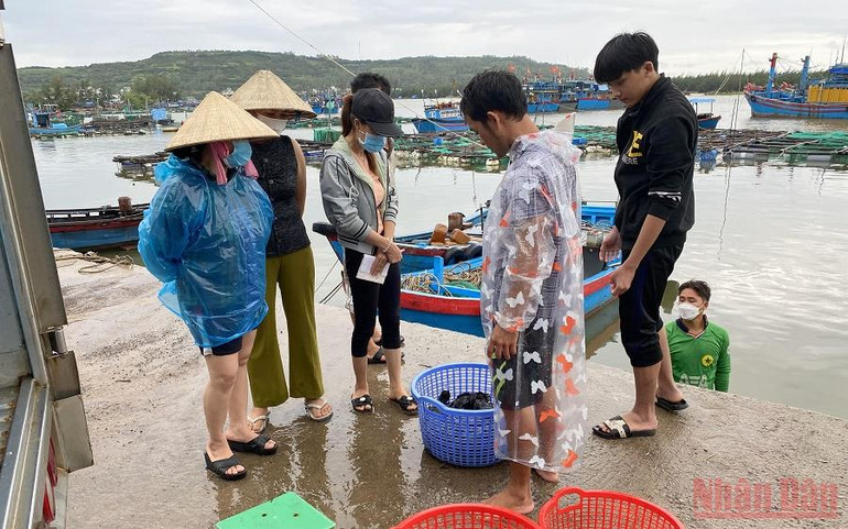 Cần khai thông cửa biển kịp thời, cứu vùng nuôi cá trên sông Lễ Thịnh -0