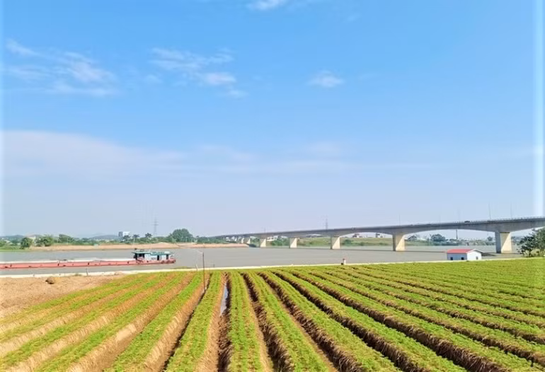 Bến Bình Than - địa danh dấu ấn xưa -0