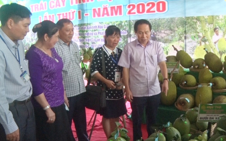 Khách tham quan các loại trái cây đặc sản của tỉnh. Khai mạc Ngày hội trái cây tỉnh Hậu Giang lần thứ 1 năm 2020 -0