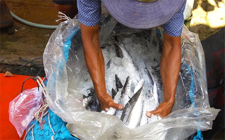 Nhớ mùi cá khô dân dã -0