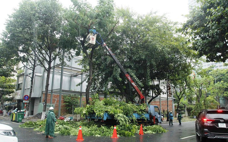 Đà Nẵng khẩn trương ứng phó bão số 5 -0